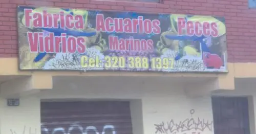 FABRICA VIDRIOS ACUARIOS PECES FABRICA VIDRIOS ACUARIOS PECES